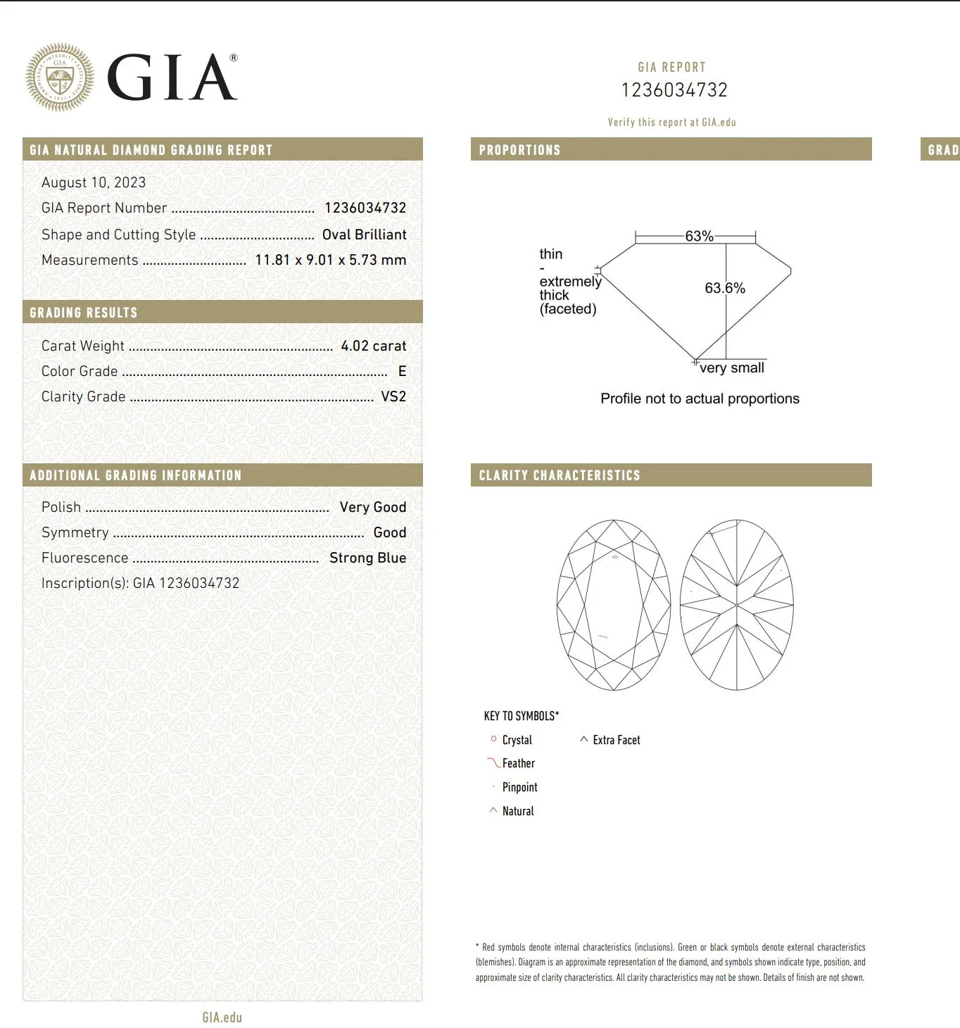 GIA Cert. 4.02 Carat E Color VS2 Clarity Oval Cut Loose Natural Diamond - Image 5
