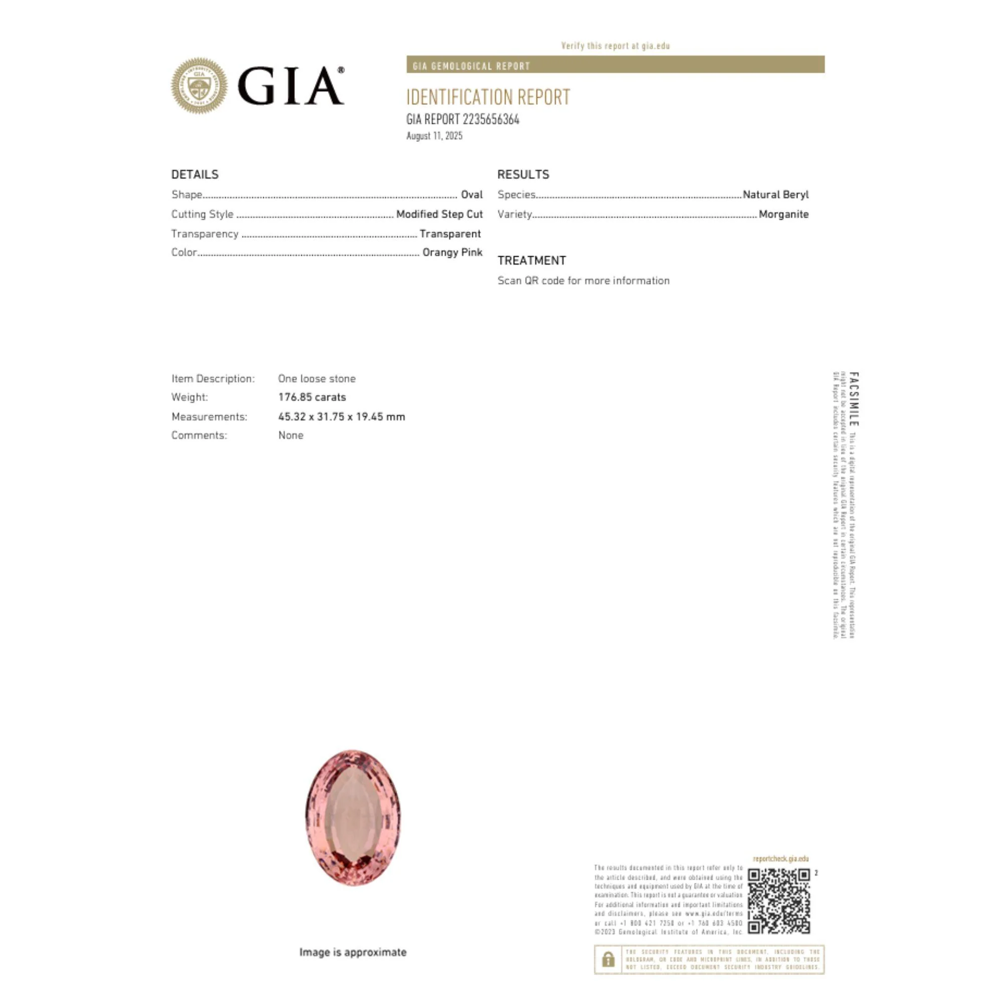 GIA Certified 176 Carat Oval Morganite East West Bezel Pendant Necklace - Image 12