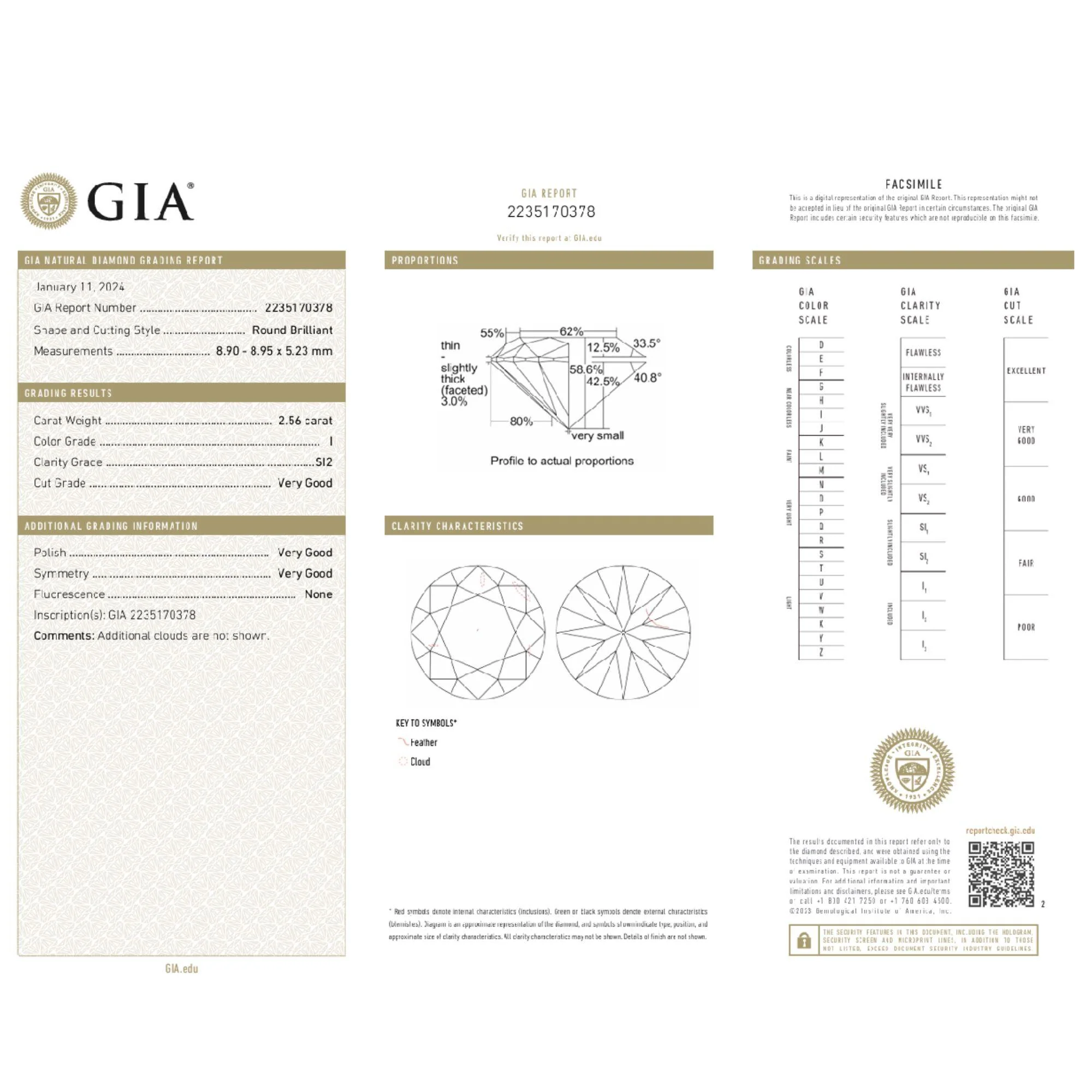 GIA Certified 2.56 Carat Round Cut Diamond Cathedral Solitaire Ring - Image 11